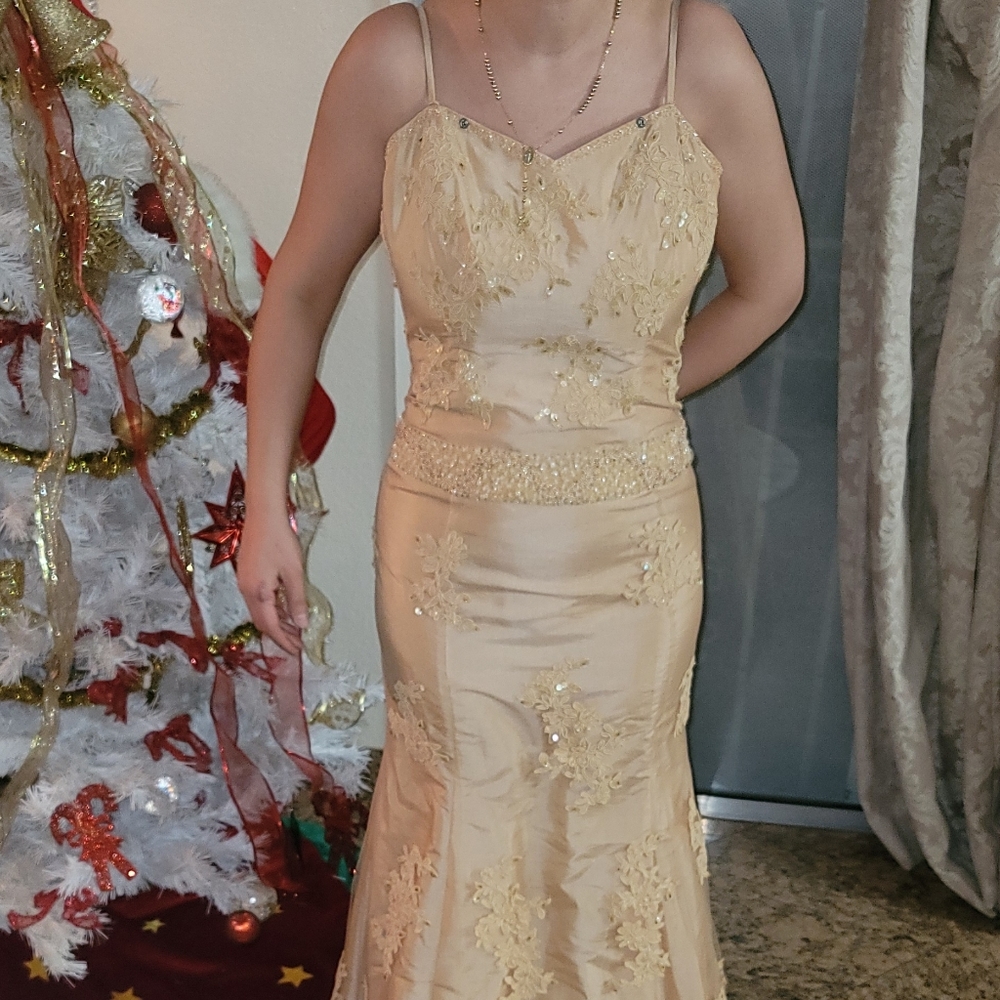 Peach Maxi With Jacket - Picture 3 of 4